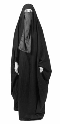 Chador -- from an online supplier (veil not included, one size fits most).